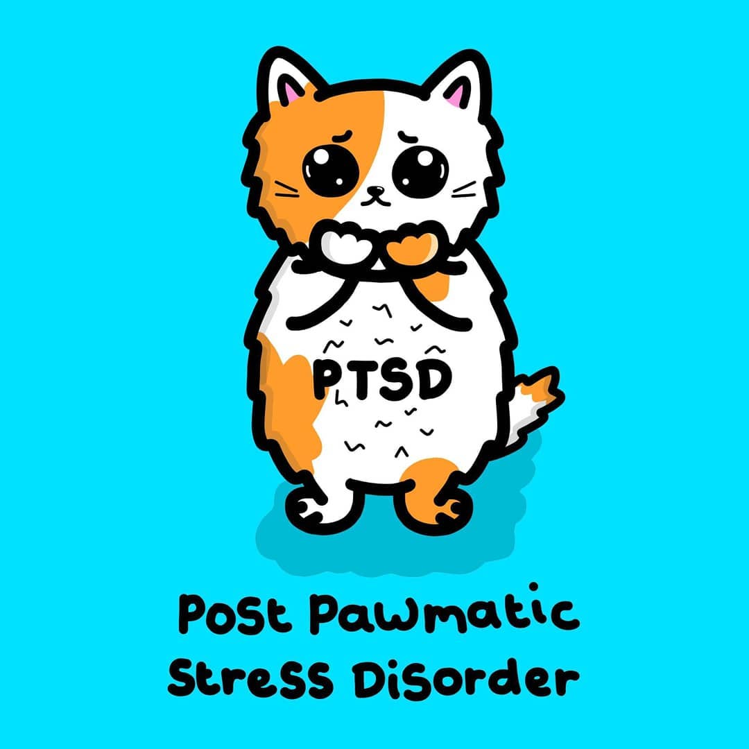 Let's raise awareness for PTSD – innabox