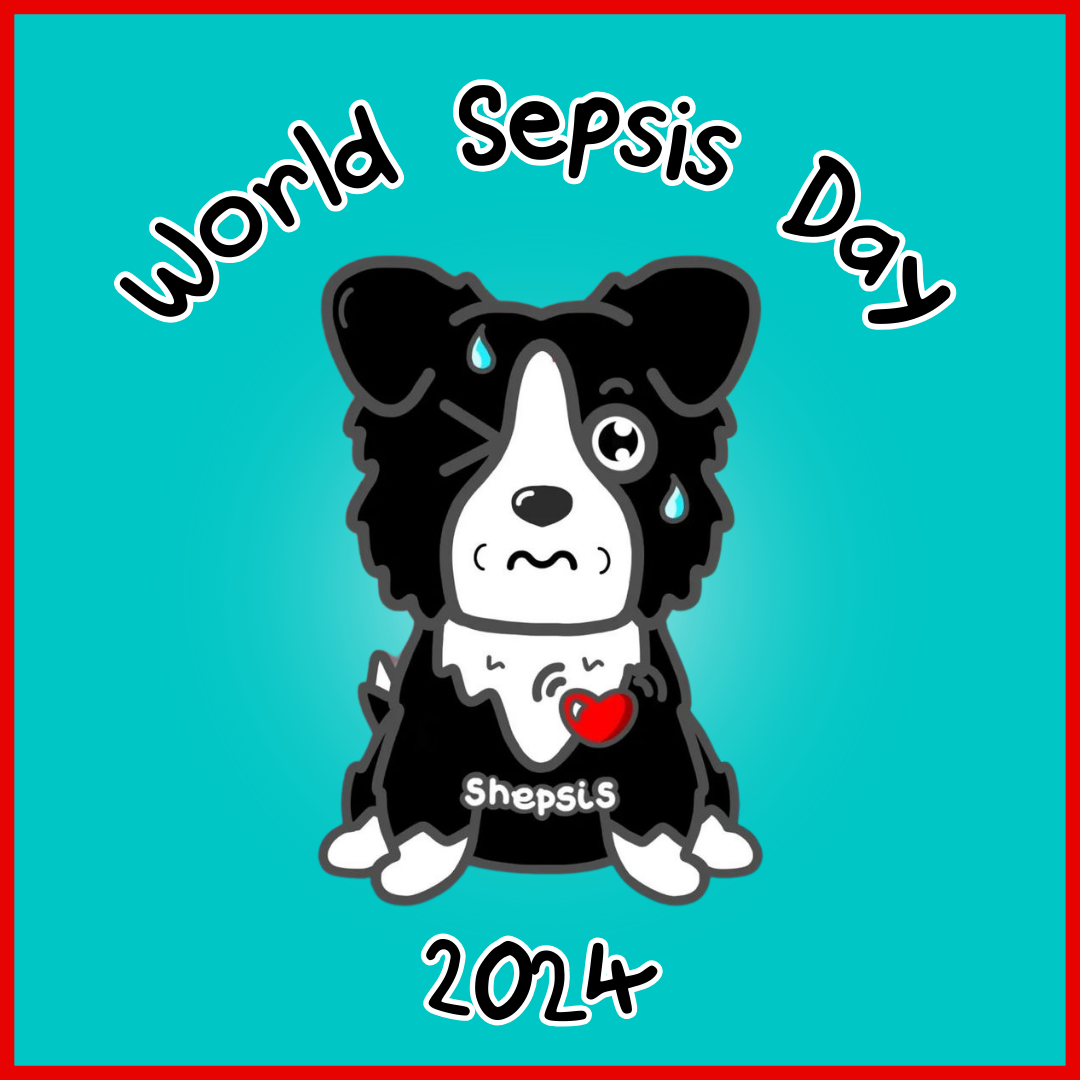 Let's Talk About World Sepsis Day!